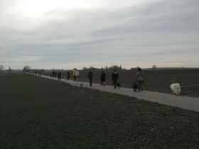 IMG 20150308 155313