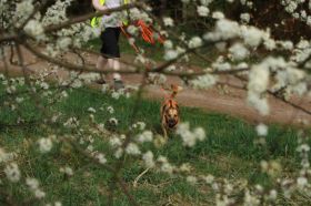 Mantrail-